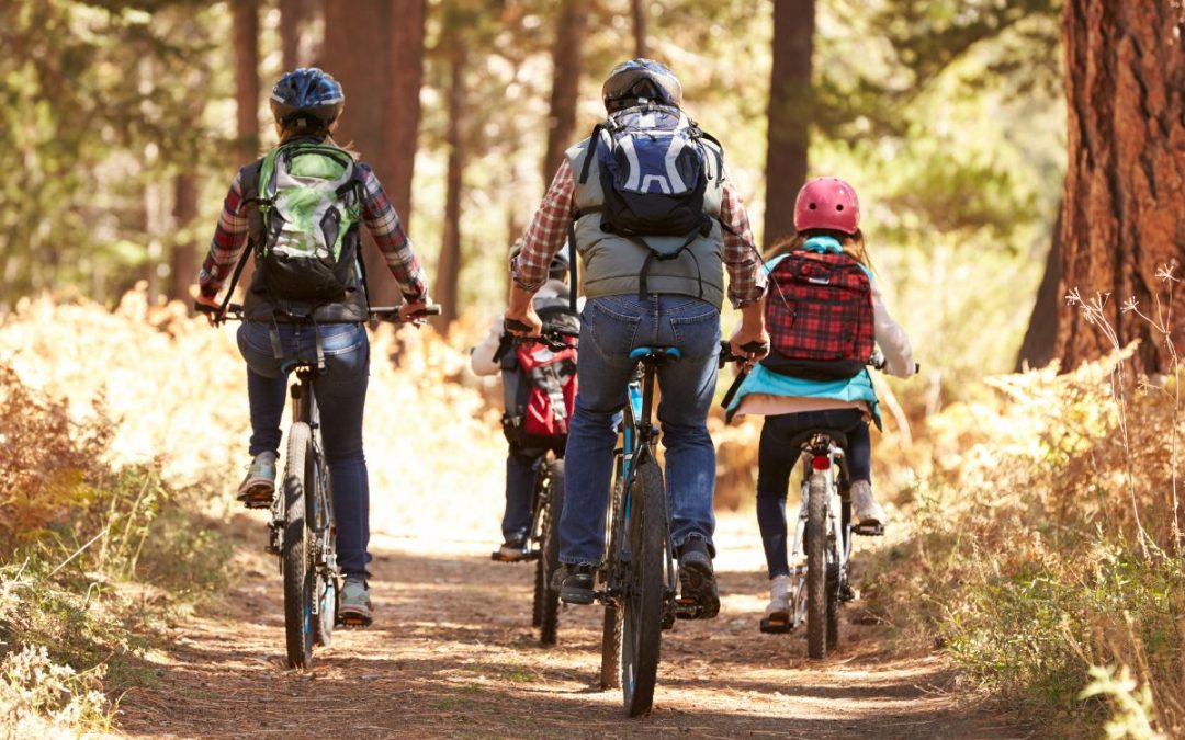 Comune di Lovero: Montirolo Eco Bike Park