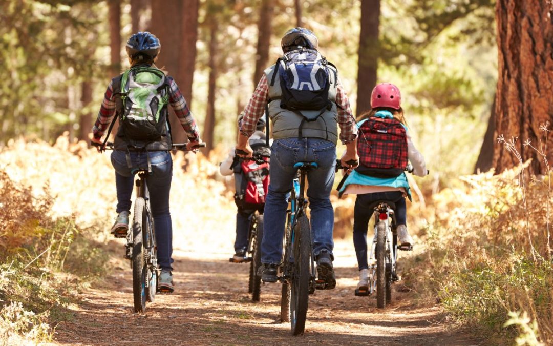 Comune di Lovero: Montirolo Eco Bike Park