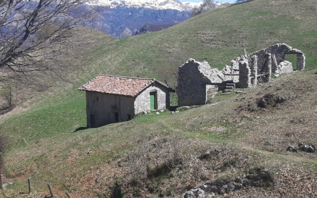 Bando Cariplo “Montagne in Transizione”